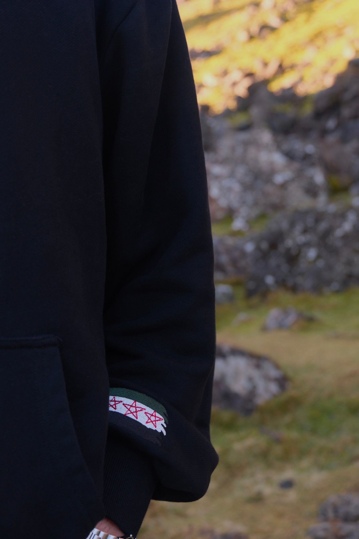 The Freed Syrian Soul Sweatshirt